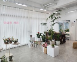 꽃집 통창 화이트 쉬폰커튼 시공