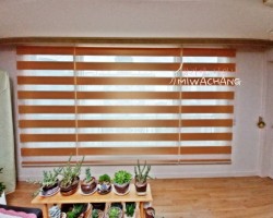 골드베이지(펄 가득) 세븐라인 콤비블라인드